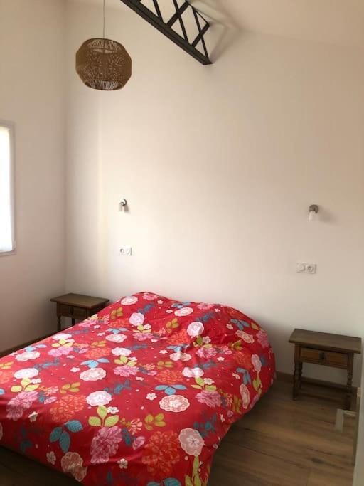 Chez Voltaire Maison Typique Et Son Patio Au Coeur De ทูเยร์ ภายนอก รูปภาพ